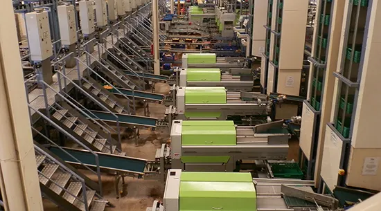 Adelle - Sector hortofrutícola
