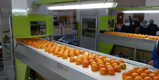 Maquinaria industrial hortofrutícola