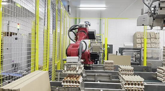 Paletizadores robotizados - Robótica y Proyectos a Medida